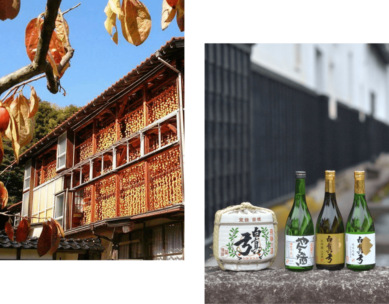 日本酒・蔵